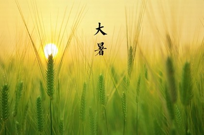 免费星盘,个人星盘查询