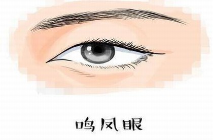 2023年火猴取名缺什么,2023年火猴取名宜忌