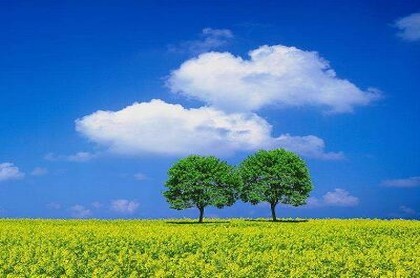 晚上去算命好不好,算卦手指掐算法口诀