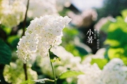 杨姓女孩缺木取名,女孩缺木缺金取名宝典
