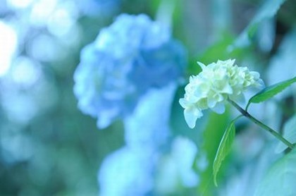 元贞利享纳甲六爻在线,六爻解卦