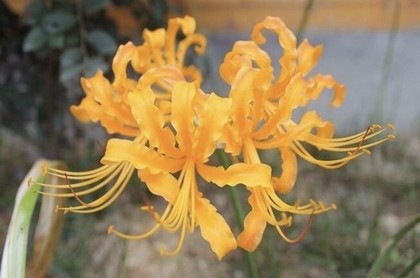 论述周易的历史地位,周易有科学依据吗