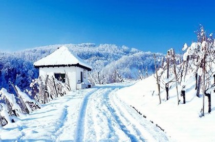 装修公司起名名字大全,装饰起名大全免费取名