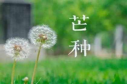 属牛人2023年运势运程下半年,羊人2023年运势运程