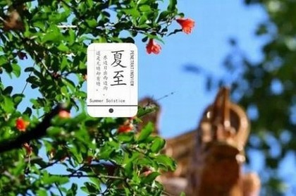 虎年生肖设计大赛作品,虎年和什么生肖最配