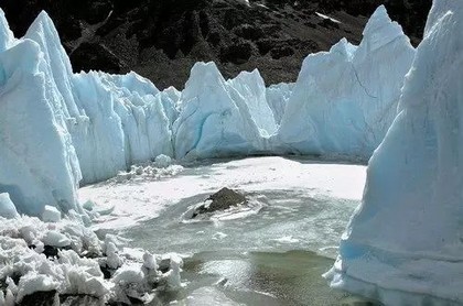 怎么蝙蝠会入宅风水命理,家里进蛇了风水上怎么破解