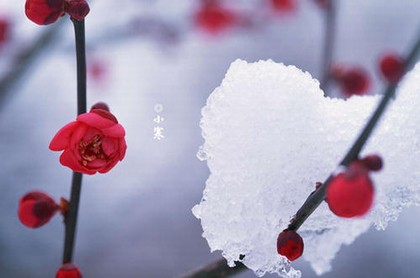 金牛座生气会干什么,金牛座吸引什么星座