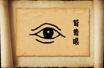 狮子最高能跳多高,狮子座颜值高第几