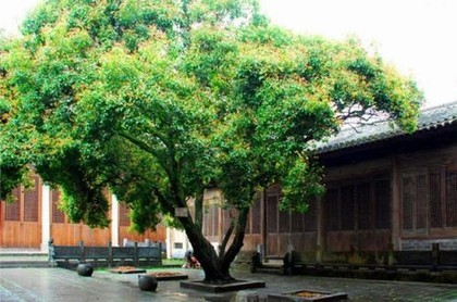 八字如何写好,八字正确写法
