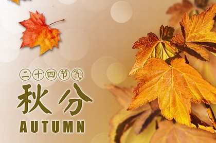 冲太岁是好还是不好,犯太岁运气真的不好吗