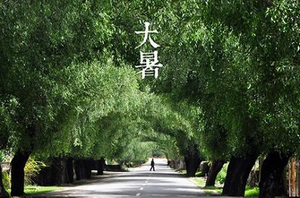 狮子座性格特征分析女,狮子女喜欢一个人暗示