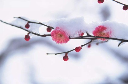 算命初学入门买什么书,算命入门书籍