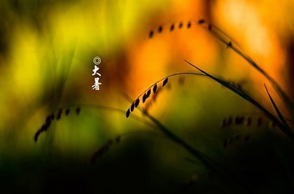 两斤八钱命格,八字测算命格