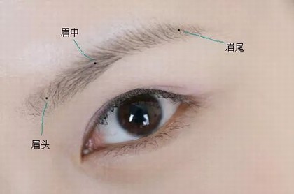 摩羯座2023年1月3号运势,双鱼座今日运势