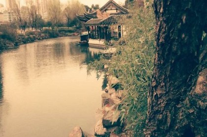 本命年鸡年,下一个属鸡本命年的是哪一年