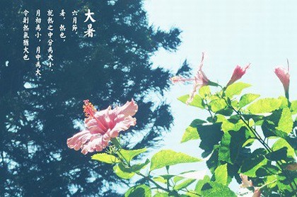 明年哪个生肖运气最好,2023年哪个生肖运气最好