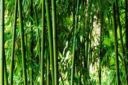 深圳哪里算命比较准呢,深圳哪里有算八字非常厉害的