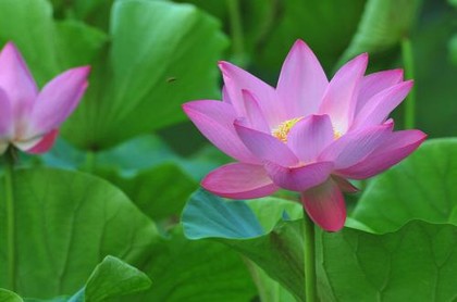 手机号三藏测吉凶,三藏公司测名吉凶