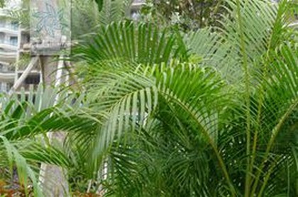 公司起名测分打分,公司起名字大全免费