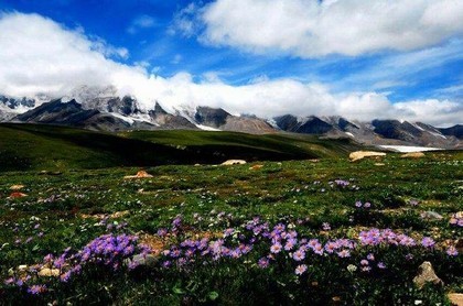 1987年2023年属兔人的全年运势男,1987年属兔人2023年每月运势