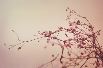 买房哪个朝向风水最好,房屋朝向风水方位图解