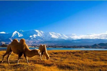 1986年属虎运势及运程,1986年属虎男每月运势