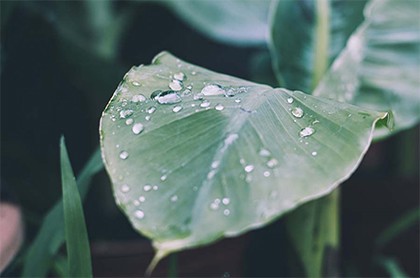附近缘分app,缘分同城交友下载