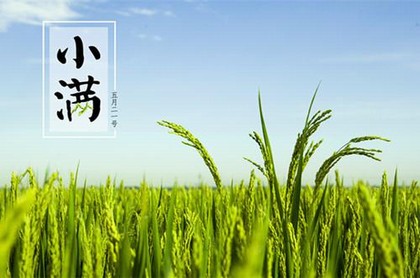 处女座和双鱼女座配对,双鱼座和什么座最配