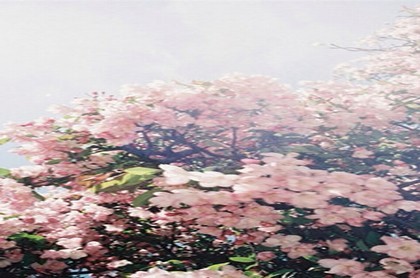 有没有免费批八字的网,批八字算命最准免费