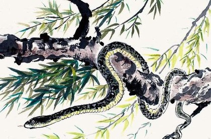 八字还没一撇什么意思,八字还没一撇打三个数字