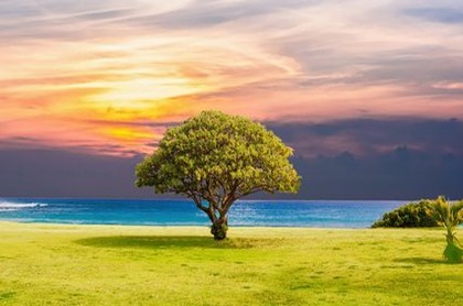 双子座是几月几日到几月几日生日,十二星座的真正性格