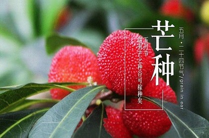 客厅西南角风水,西南角风水摆放