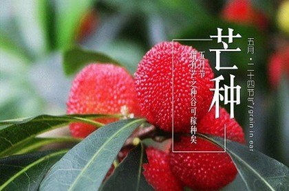 客厅西南角风水,西南角风水摆放