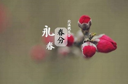 算命暗语,网上算命