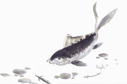 八字哪些字相合,八字合婚