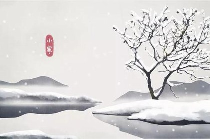 处女狮子座配对指数,狮子座和狮子座配吗