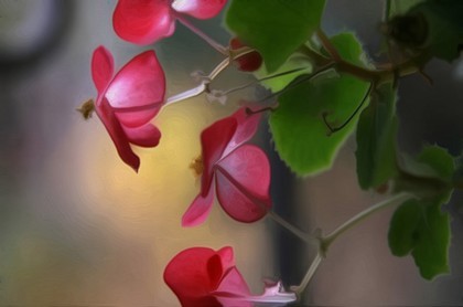 批八字十年,八字算未来十年财运