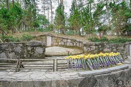 双鱼座牛年2023年运势,双鱼座未来5年运势