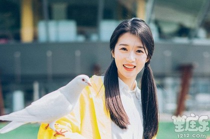 属虎农历九月出生的人命运,属虎九月初九出生的人命运