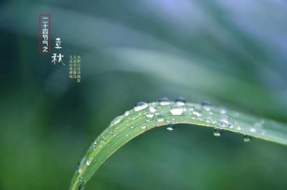 星座第六感之王,十二星座哪个星座第六感最强
