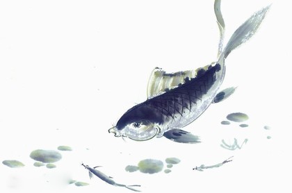 白羊运势2023年运势如何,2023下半年白羊感情运势