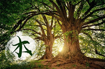 陶白白出生日期,陶白白说天秤座