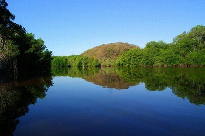 属虎48岁2023年的运势如何,74年属虎48岁有牢狱之灾
