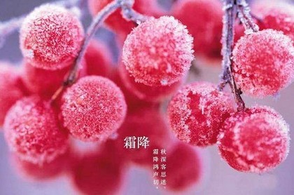 撩摩羯男的话语,摩羯男主动撩你的行为