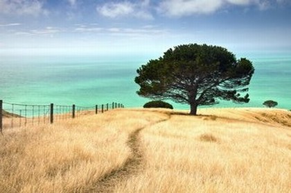 最准确的上升星座查询分区,下降星座查询