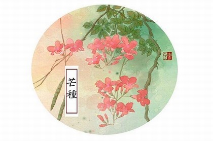 算命的知道家里所有事,算命的人说的话可信吗