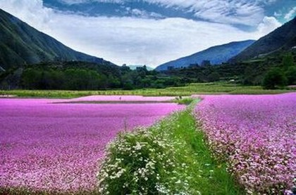 情侣间测试,情侣测试配对指数
