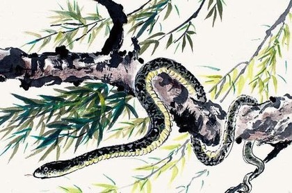 天蝎男内心,天蝎男故意让你痛苦