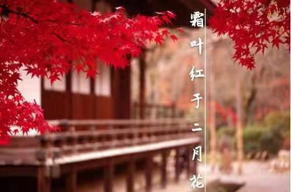 第六宫双鱼飞入第五宫,8宫双鱼座