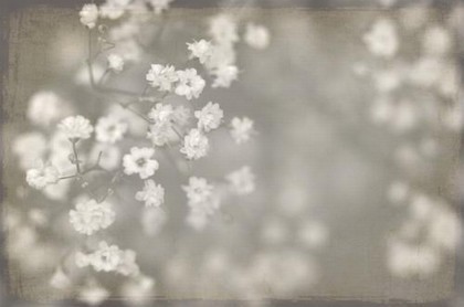 六爻排盘汉程,八字合婚汉程